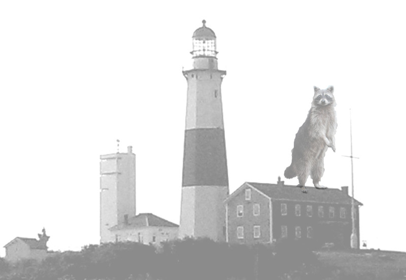 lighthouse w-standing racoon